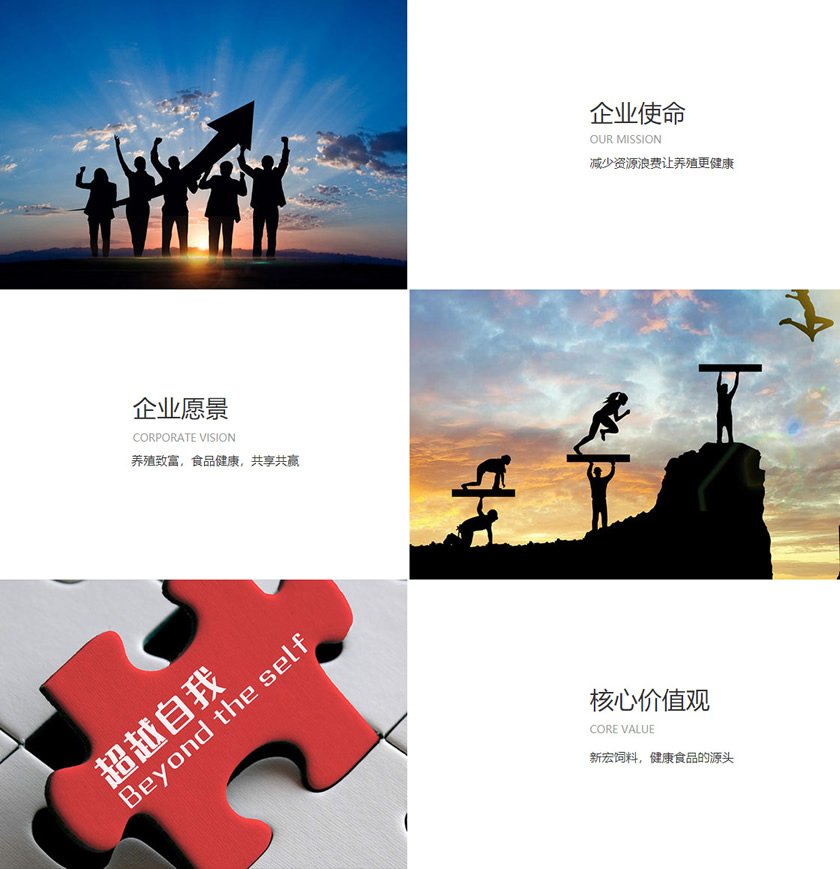 电子邮箱 leeyoung@jule